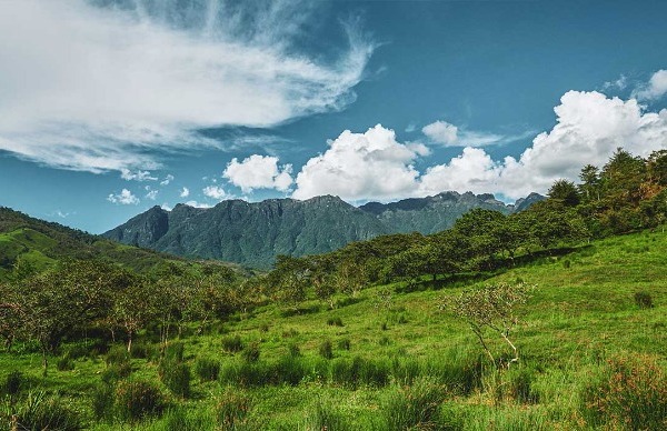 tour oxapampa desde huancayo